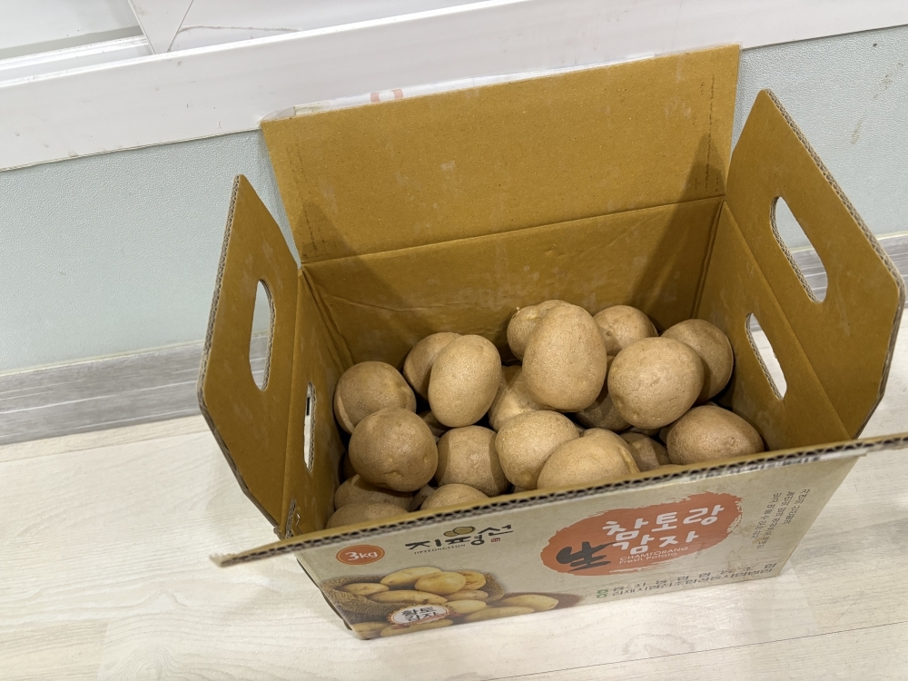 25년 햇감자 중 대 특 왕특 3kg 5kg 김제 국내산