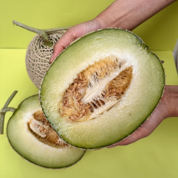 [메론캄스] 머스크 메론 1.5kg 당도선별 멜론