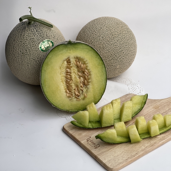[메론캄스] 머스크 메론 1.5kg 당도선별 멜론
