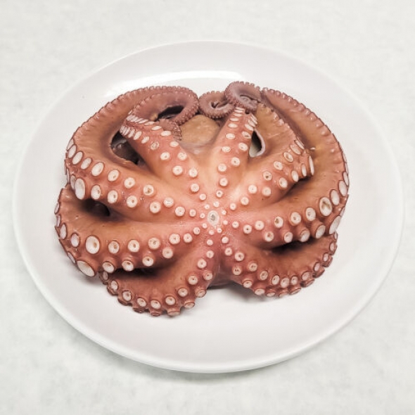 자숙 문어 (일반상품) (제수용)