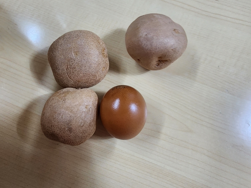 25년 햇감자 중 대 특 왕특 3kg 5kg 김제 국내산