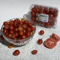 대추 방울토마토 아삭아삭단단 2kg 3kg 5kg