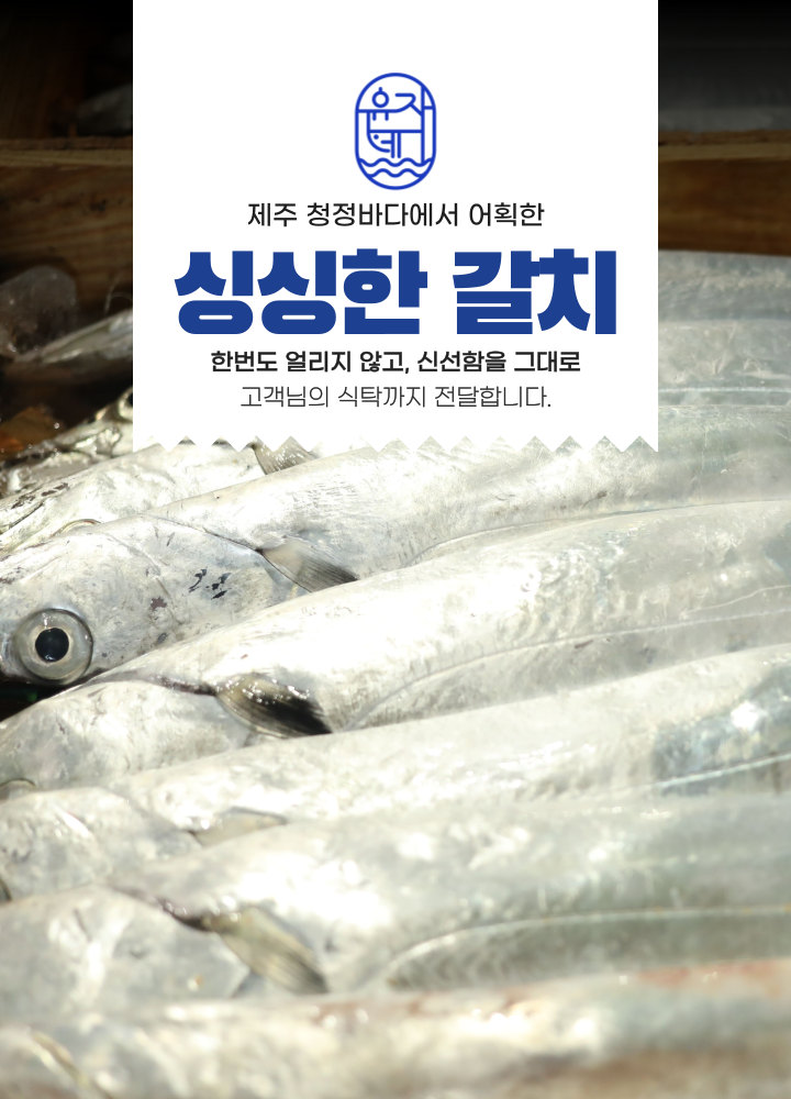 싱싱한 제주 은갈치 3미 9토막 800g 무염 급냉
