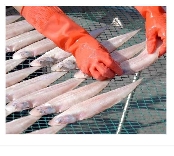 홍지수산 남해안 서대 3마리 1팩  제수용 선물용