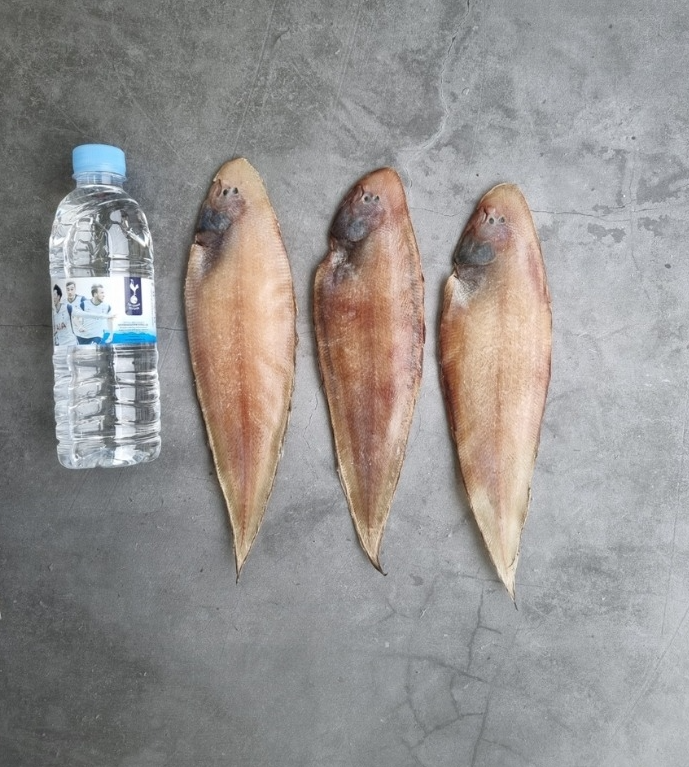 홍지수산 남해안 서대 3마리 1팩  제수용 선물용