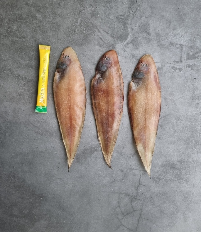 홍지수산 남해안 서대 3마리 1팩  제수용 선물용
