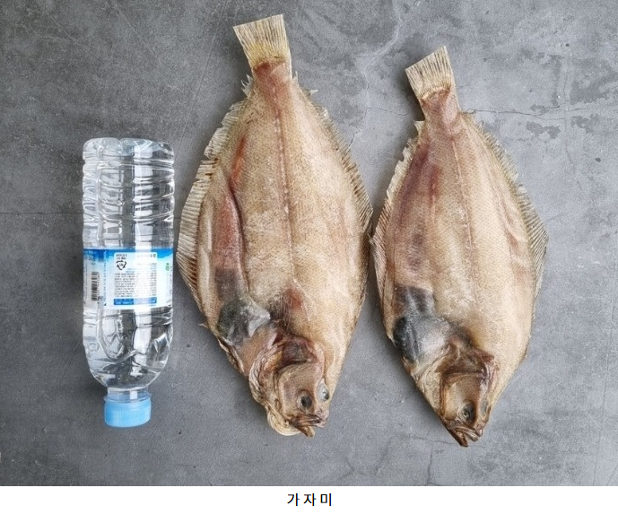 홍지수산 남해안 서대 3마리 1팩  제수용 선물용