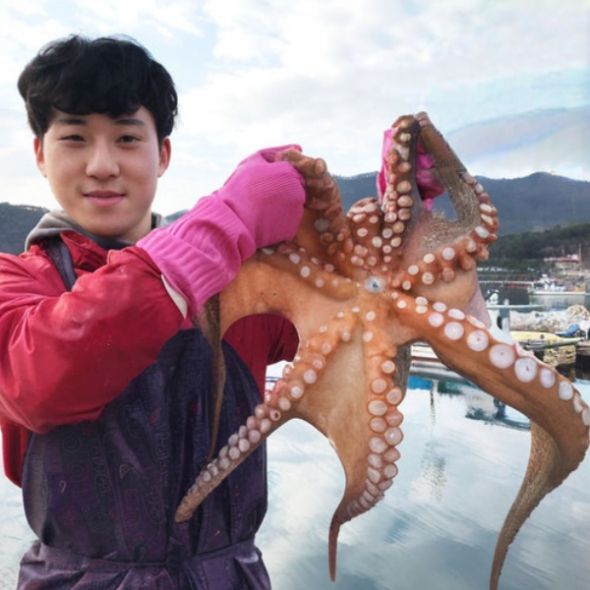[신한카드 할인]산지직송 통영 자연산 돌문어 500g  1kg 제수용
