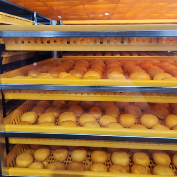 전통방식의 반건시 영동곶감(푸)