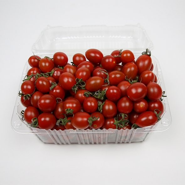 [토마최고] 대추방울 토마토 한입 토마토 750g 1.5kg 1kg 2kg