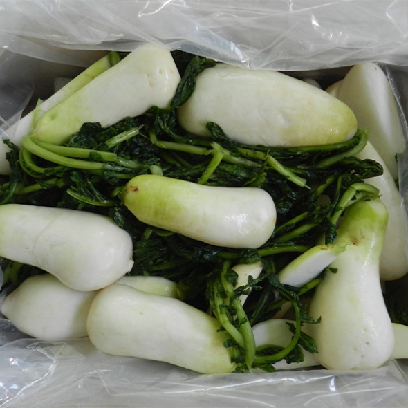 싱싱하고 아삭아삭한  알타리&초롱무