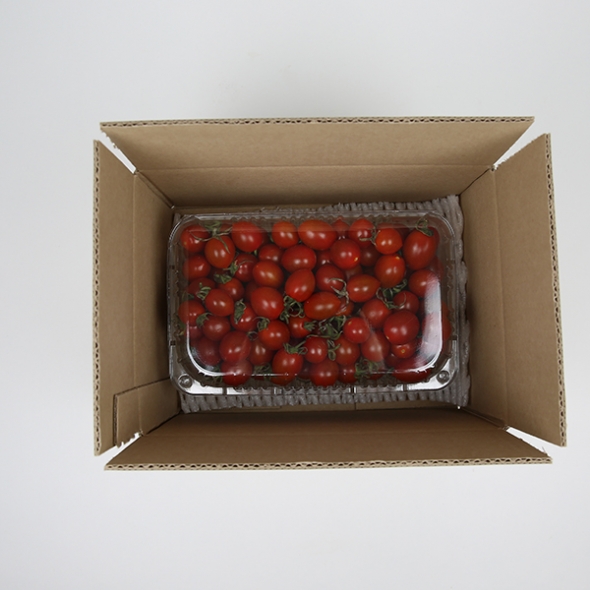 [토마최고] 대추방울 토마토 한입 토마토 750g 1.5kg 1kg 2kg