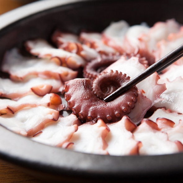 [신한카드 할인]산지직송 통영 자연산 돌문어 500g  1kg 제수용