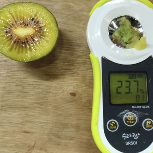 [주말특가] 차원이 다른 맛과 당도 프리미엄 레드키위(푸)