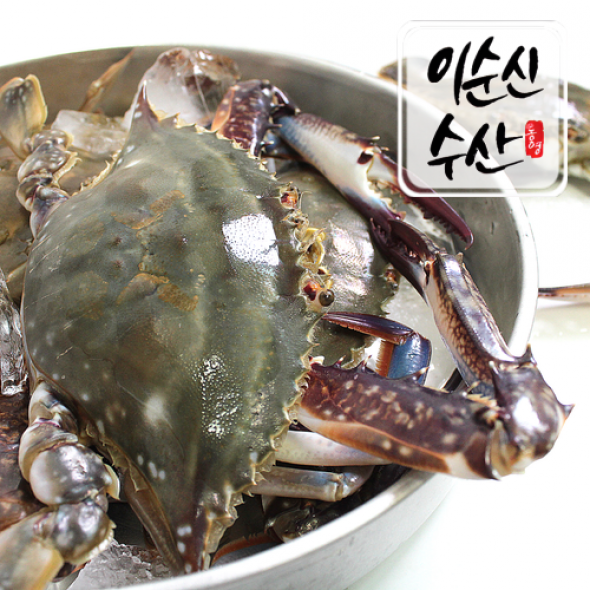 국내산 서해안 제철 생물 활꽃게 암수랜덤 2kg