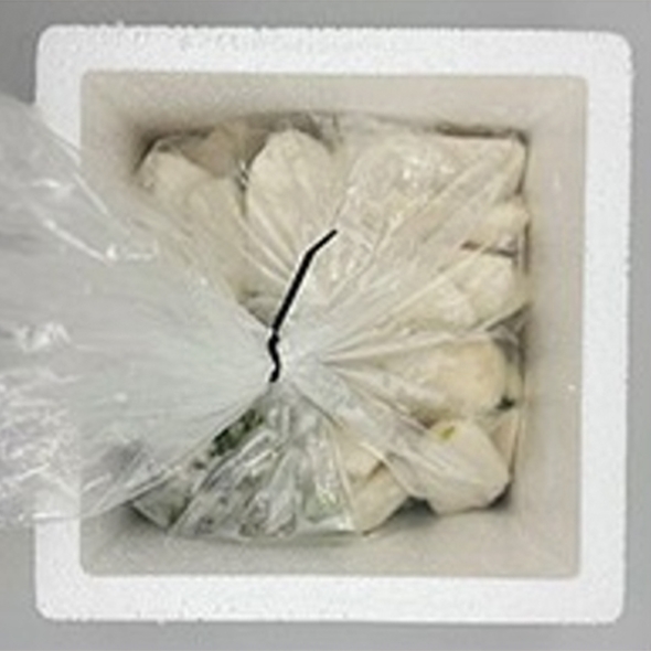 싱싱하고 아삭아삭한  알타리&초롱무