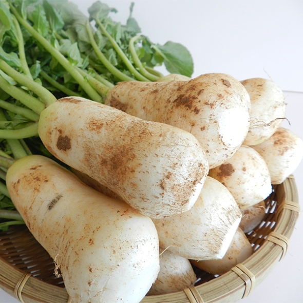 싱싱하고 아삭아삭한  알타리&초롱무