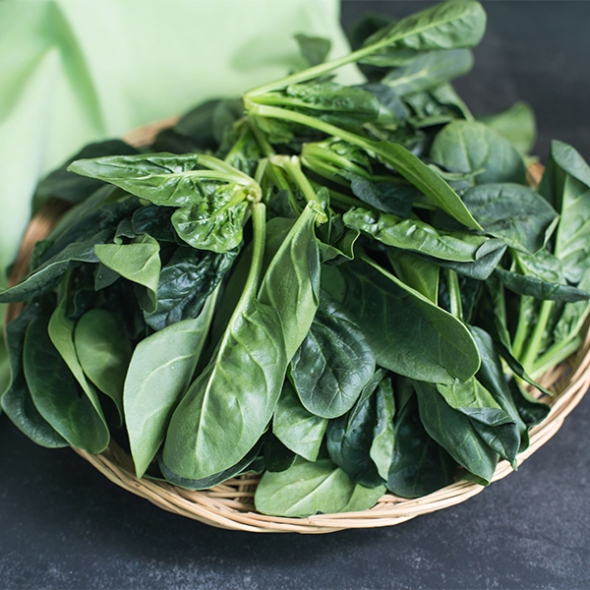 남해의 선물  보물초 시금치(푸)