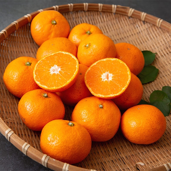 고당도 타이벡  감귤(푸)