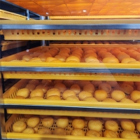 전통방식의 반건시 영동곶감(푸)