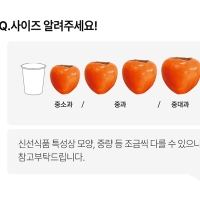 제철을 맞은 햇  대봉감(푸)