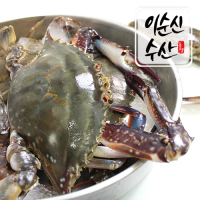 국내산 서해안 제철 생물 활꽃게 암수랜덤 2kg