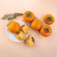 달콤 아삭한  고당도 단감(푸)