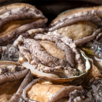 [전복캄스] 완도 전복 참전복 1kg 구이용 찜용 