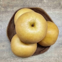  달콤함이 꽉 찬 가을 신고배 (3kg/5kg/15kg)