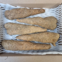  [주말특가] 비옥한 흙에서 비롯된 신선한 산마,장마(푸)